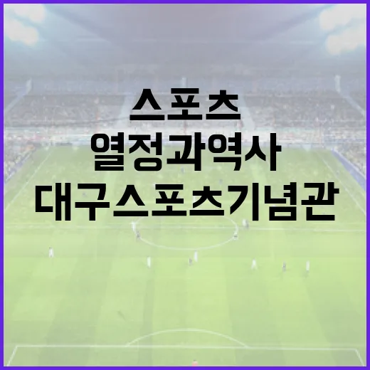 대구스포츠기념관에서 만나는 스포츠 열정과 역사