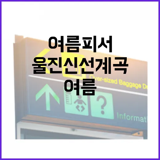 울진 신선계곡, 여름 피서 명소