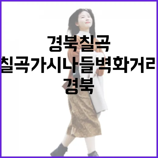 경북 칠곡 가시나들벽화거리의 따뜻한 이야기