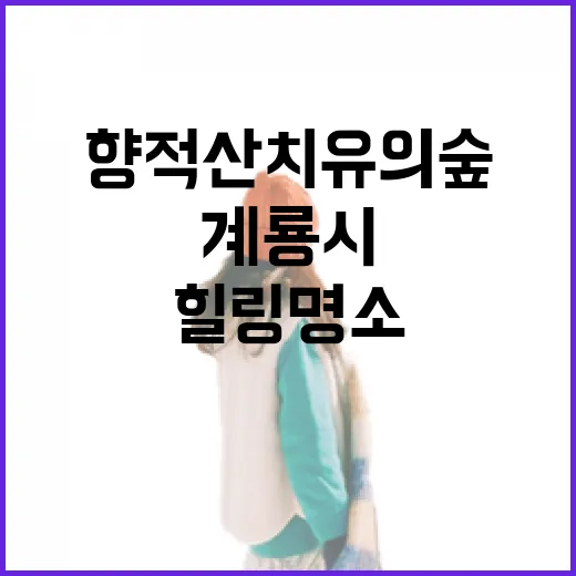 계룡시 향적산 치유의 숲, 숨겨진 힐링 명소