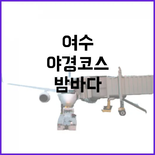 여수 낭만포차, 밤바다와 함께하는 필수 야경 코스