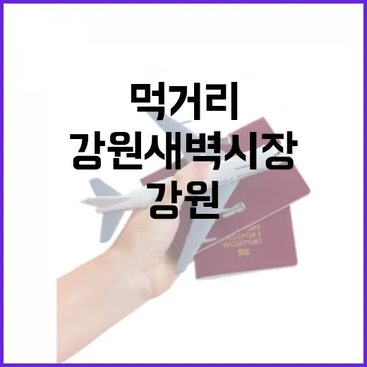 강원 새벽시장 먹거리 여행