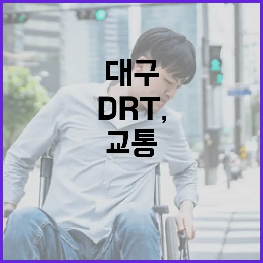 대구 DRT, 골목길까지 편리한 교통 혁신