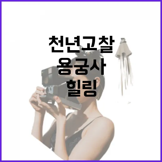 천년고찰 용궁사와 신록의 힐링 산책