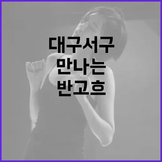 대구서구문화회관서 만나는 반고흐 향기