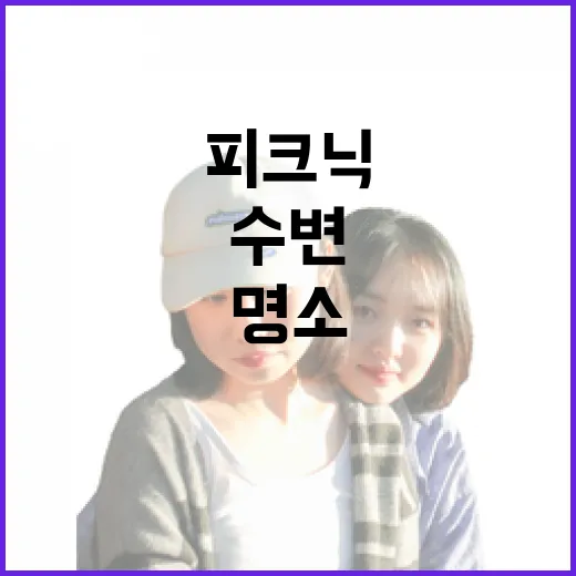 서울 수변 감성 명소 4선 산책과 피크닉 명소