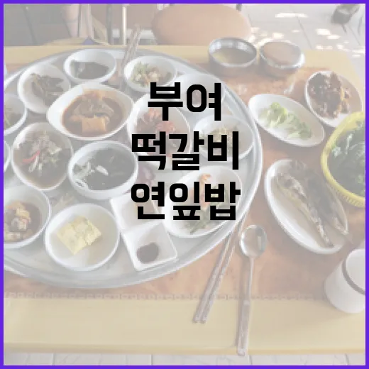 부여 솔내음, 정성 가득 연잎밥과 떡갈비
