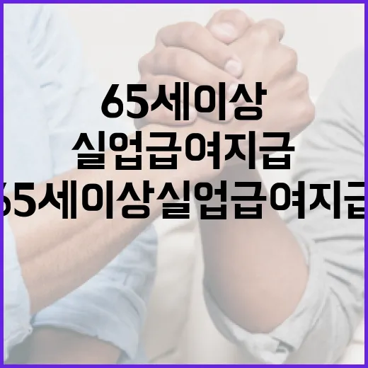 고용부, 65세 이상 실업급여 지급 논란 일축