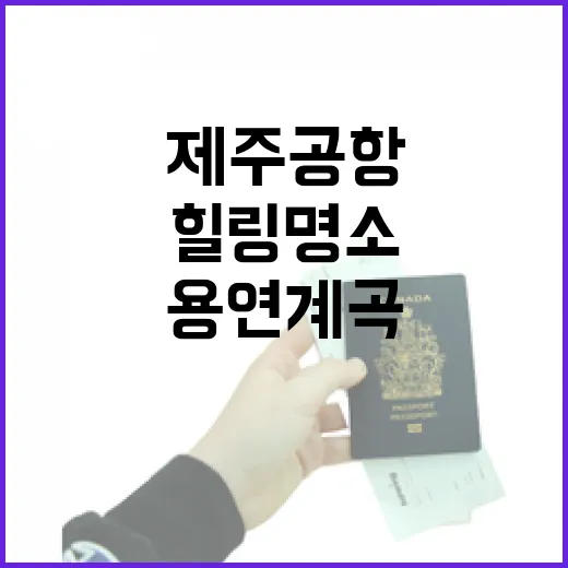 제주공항 인근 힐링 명소 용연계곡
