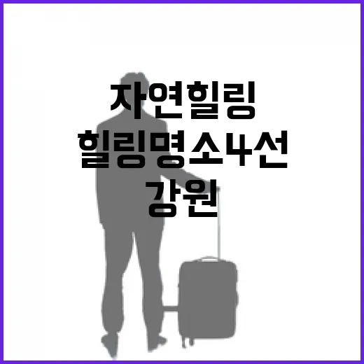 강원 자연 힐링 명소 4선