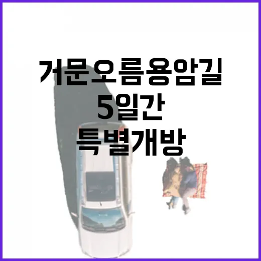 거문오름 용암길 5일간 특별 개방