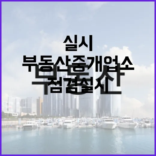 제주 부동산 중개업소 대대적 점검 실시