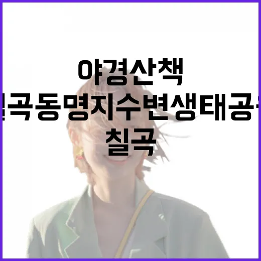 칠곡 동명지수변생태공원 야경 산책 명소