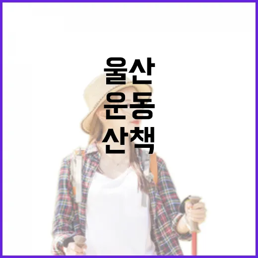 울산 온양체육공원, 운동과 산책 명소