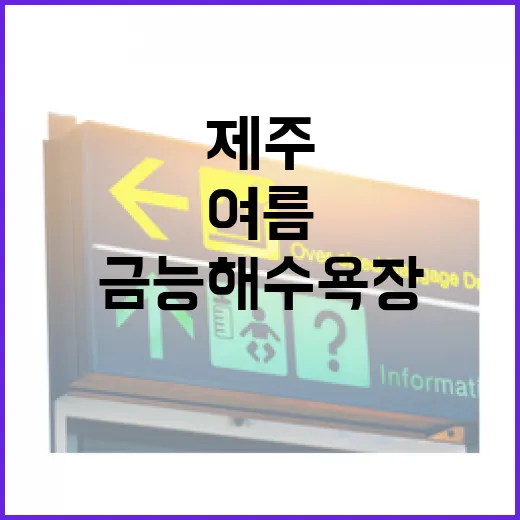 제주 금능해수욕장, 여름 물놀이 명소