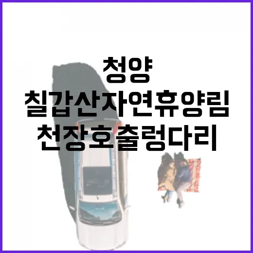 8월 전북의 일상, 사진으로 담다