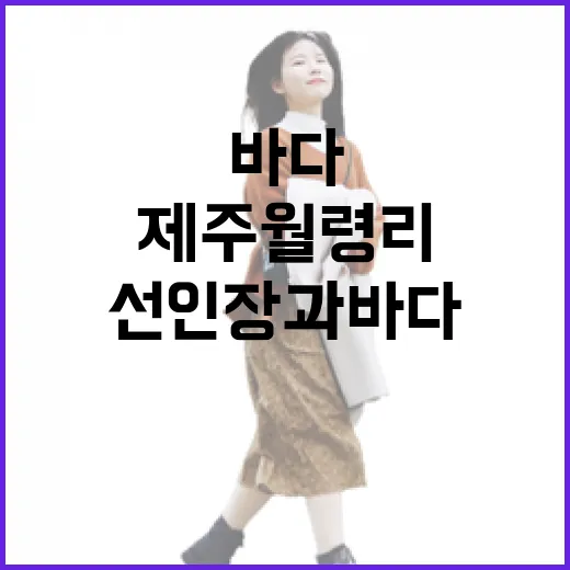 제주 월령리 선인장과 바다의 절경