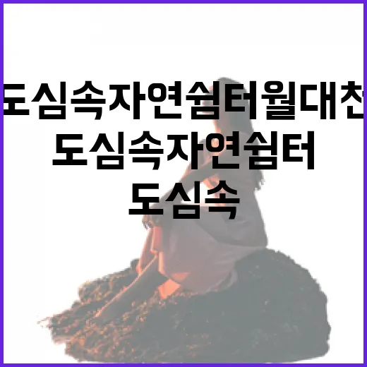 도심 속 자연쉼터 월대천의 매력
