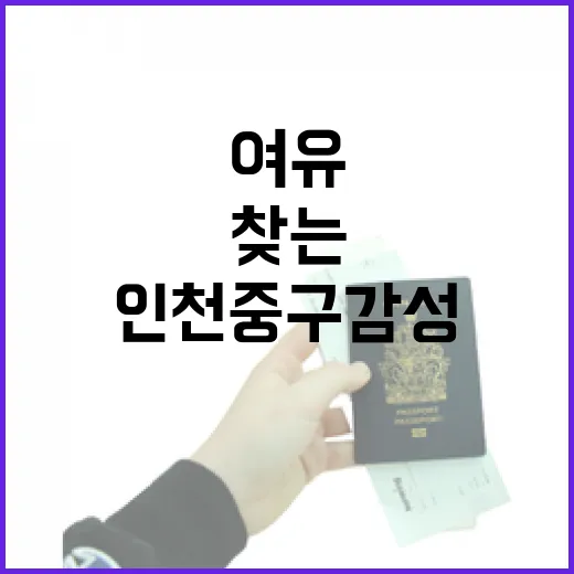 인천 중구 감성책방서담재에서 찾는 여유