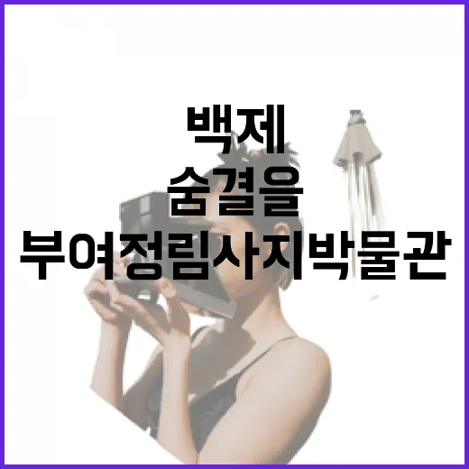 부여 정림사지박물관, 백제 문화의 숨결을 만나다