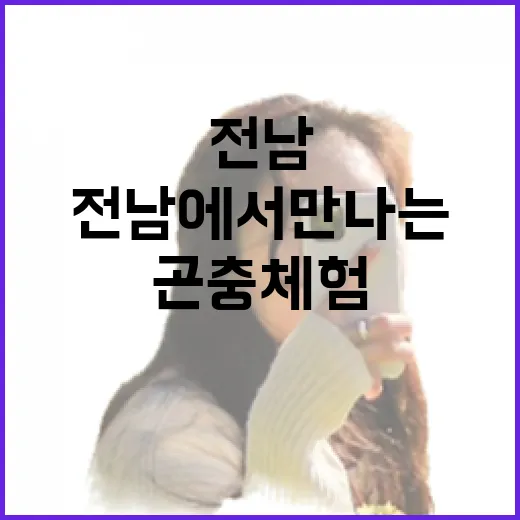 전남에서 만나는 4대 곤충 체험 명소