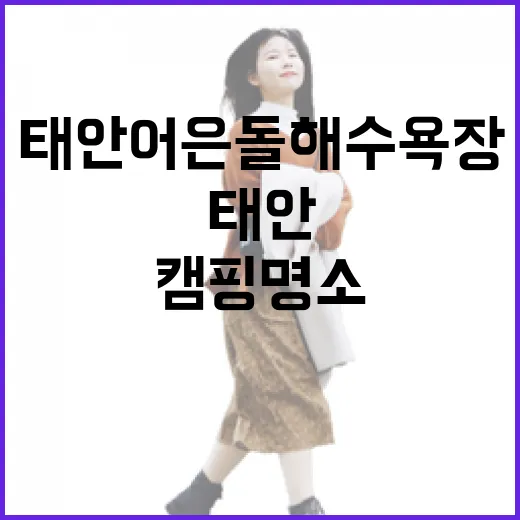 태안 어은돌 해수욕장 가족 캠핑 명소