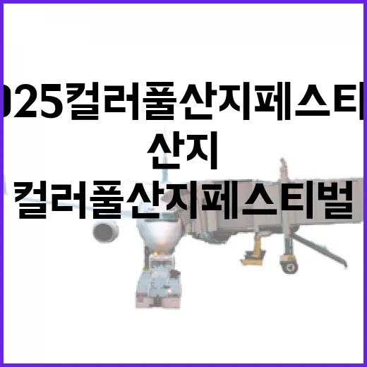 2025 컬러풀 산지 페스티벌 현장 리포트