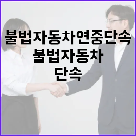 제주 불법자동차 연중 단속 강화