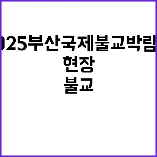 2025 부산 국제 불교 박람회 현장 생생 리포트