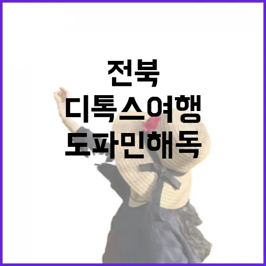 전북에서 찾는 도파민 해독 디톡스 여행