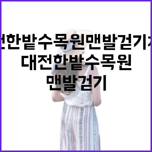 대전 한밭수목원 맨발 걷기 체험