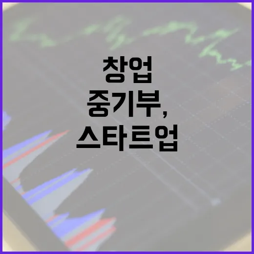 중기부, 창업 3년 이내 스타트업 투자 확대 추진