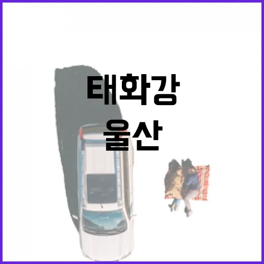 태화강 야시장, 울산 밤의 매력