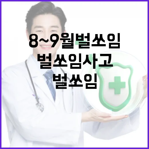 8~9월 벌 쏘임 사고 집중 대비법