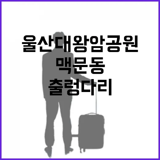 울산 대왕암공원 보랏빛 맥문동과 출렁다리 산책