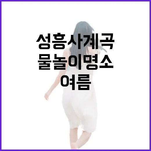 창원 성흥사 계곡, 여름 물놀이 명소