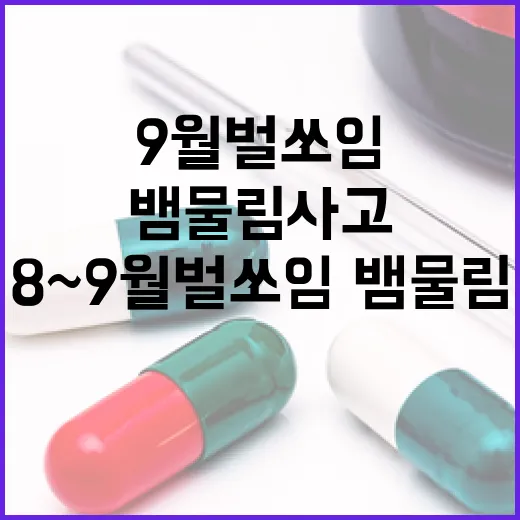8~9월 벌 쏘임·뱀 물림 사고 주의보