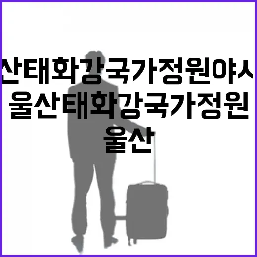 울산 태화강국가정원 야시장 풍경
