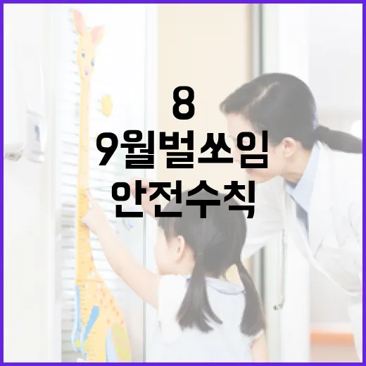 8-9월 벌 쏘임 급증, 안전 수칙 필수