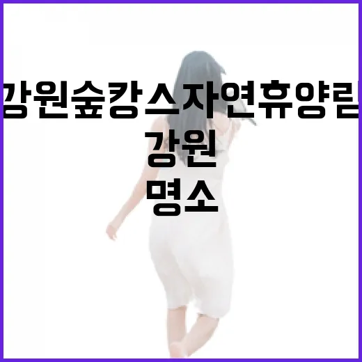 강원 숲캉스 자연휴양림 명소