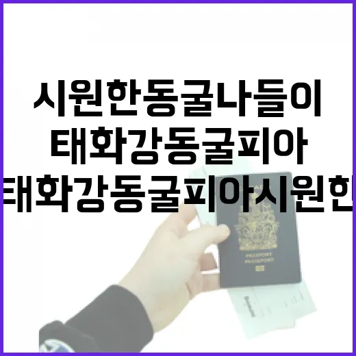 태화강 동굴피아 시원한 동굴 나들이