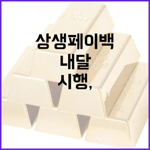 내달 상생페이백 시행, 소상공인 매출 기대