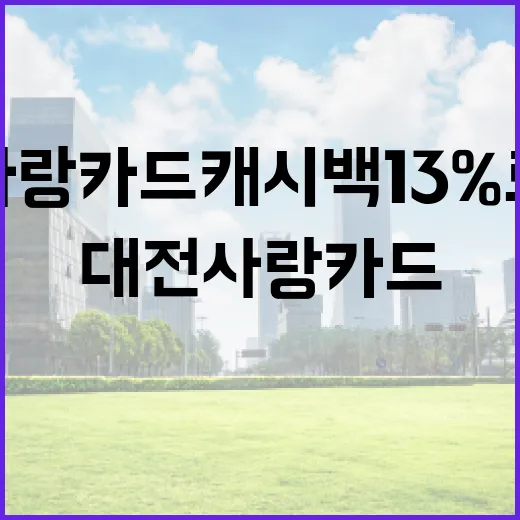대전사랑카드 캐시백 13%로 확대