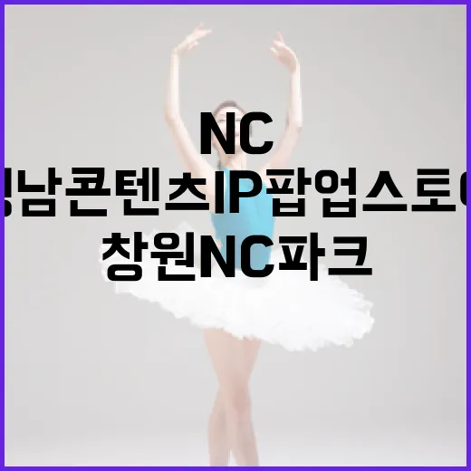창원NC파크 경남콘텐츠 IP 팝업스토어 현장