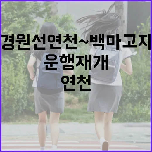 경원선 연천~백마고지 구간 열차 운행 재개 확정