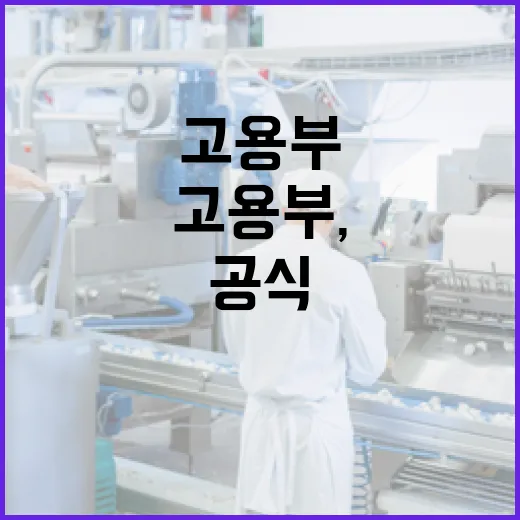 고용부, 연차유급휴가 활성화 계획 없다고 공식 입장