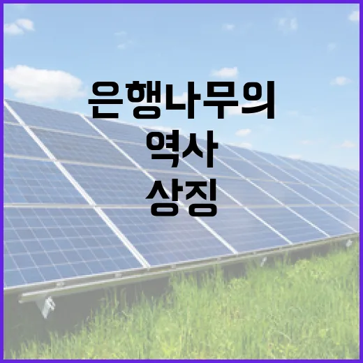 전북 상징 은행나무의 생명력과 역사