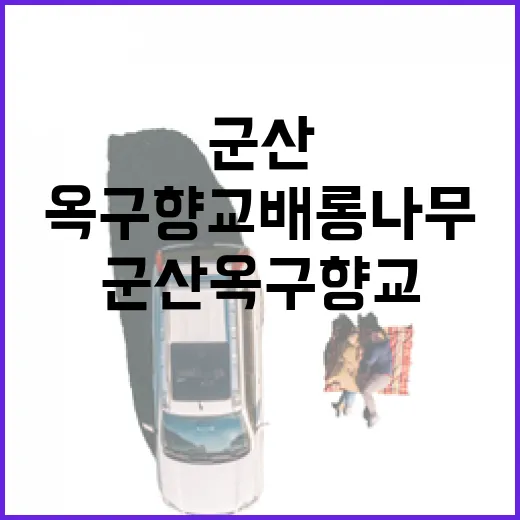 군산 옥구향교 배롱나무 꽃길 산책
