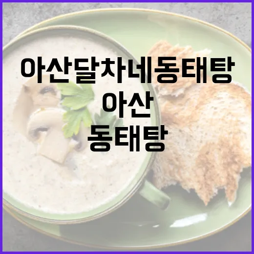 아산 달차네 동태탕, 여름철 이열치열 맛집