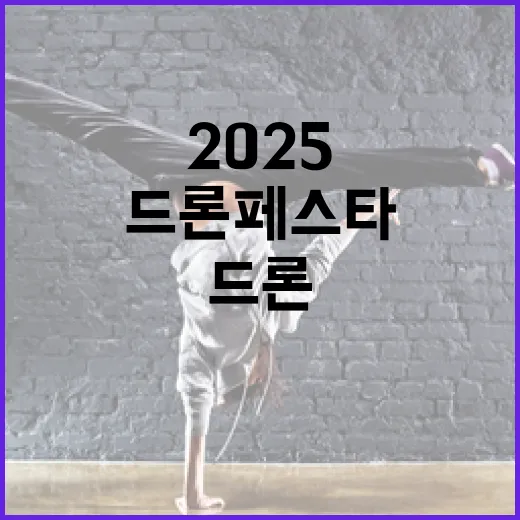 2025 충남 드론 페스타, 하늘을 수놓다